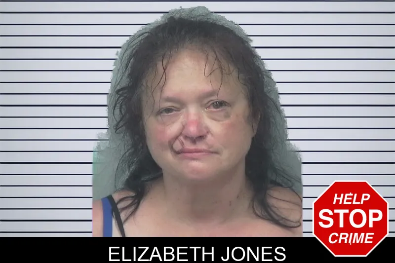 Elizabeth Jones mugshot – Gwinnett County , Georgia Elizabeth Jones mugshot