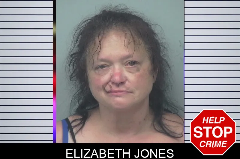 Elizabeth Jones mugshot – Gwinnett County , Georgia Elizabeth Jones mugshot