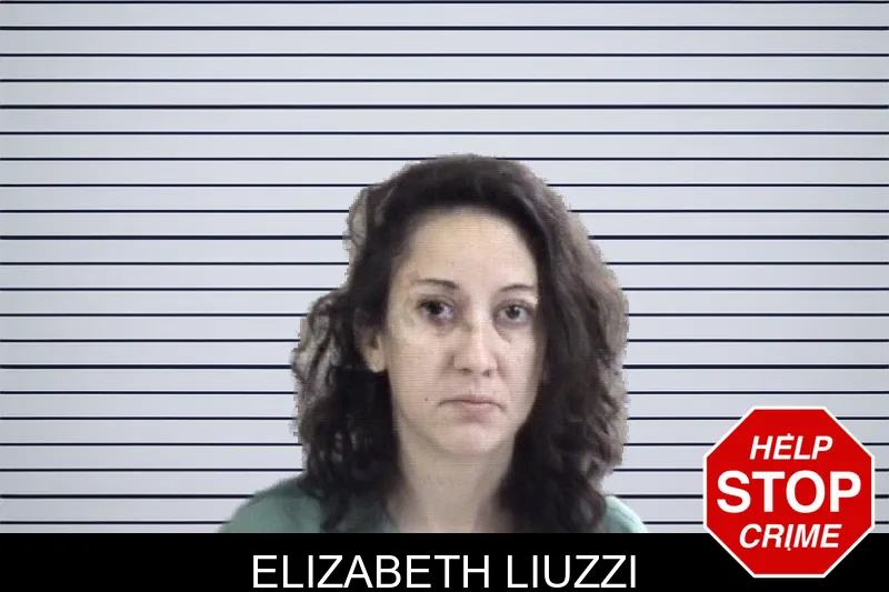Elizabeth Liuzzi mugshot – Whitfield County , Georgia Elizabeth Liuzzi mugshot
