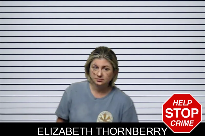 Elizabeth Thornberry mugshot
