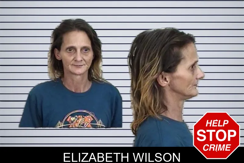 Elizabeth Wilson mugshot