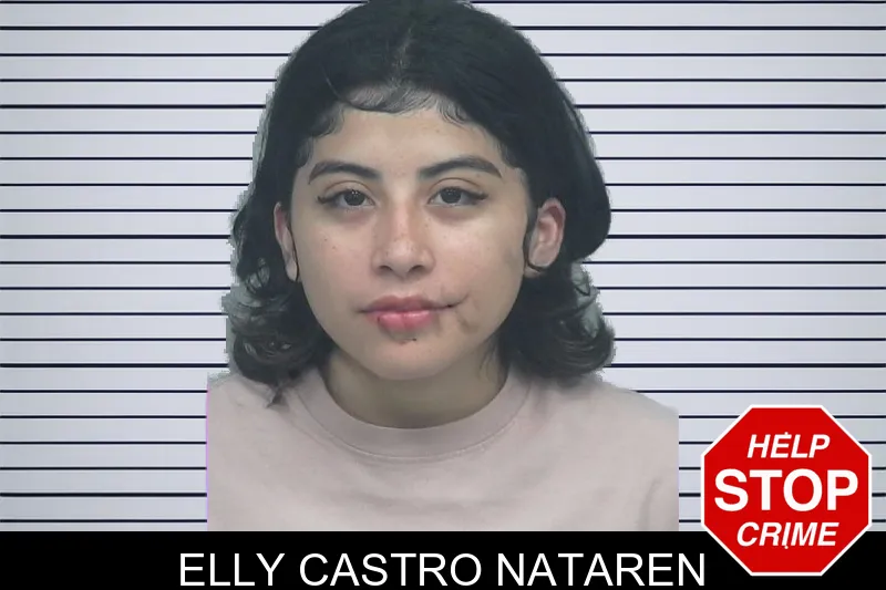 Elly Castro Nataren mugshot