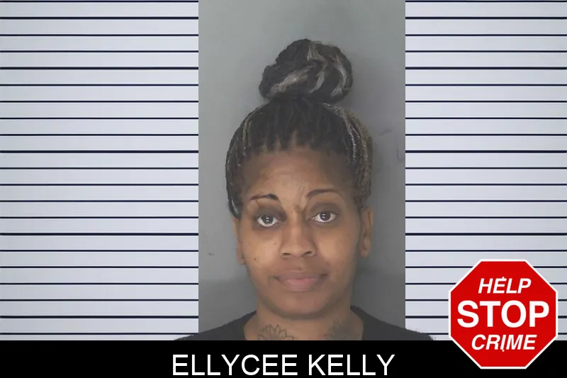 Ellycee Kelly mugshot