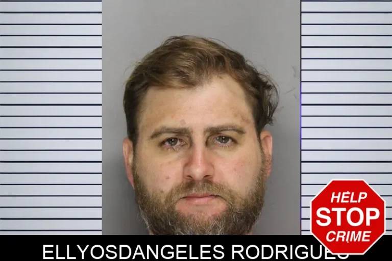 Ellyosdangeles Rodrigues mugshot – Cobb County , Georgia Ellyosdangeles Rodrigues