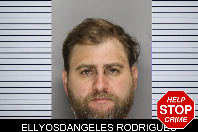 Ellyosdangeles Rodrigues mugshot