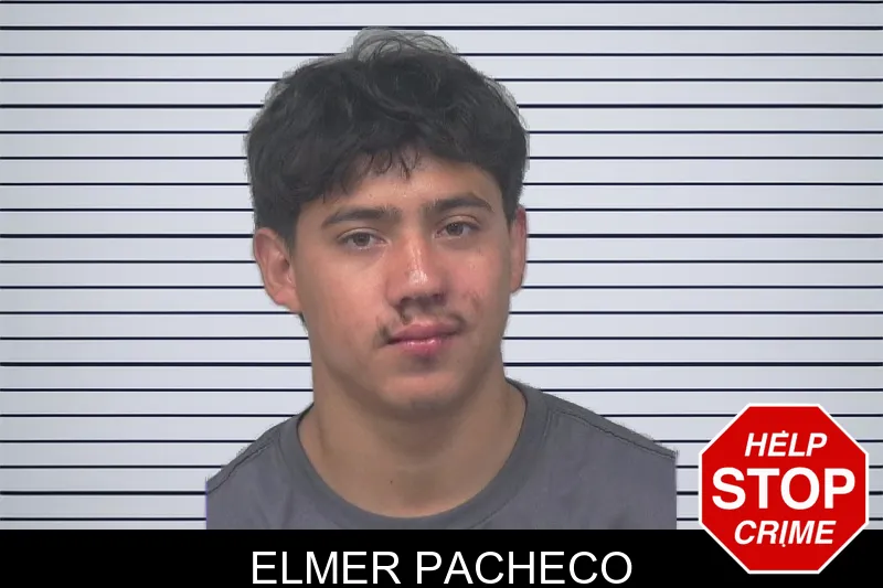 Elmer Pacheco mugshot