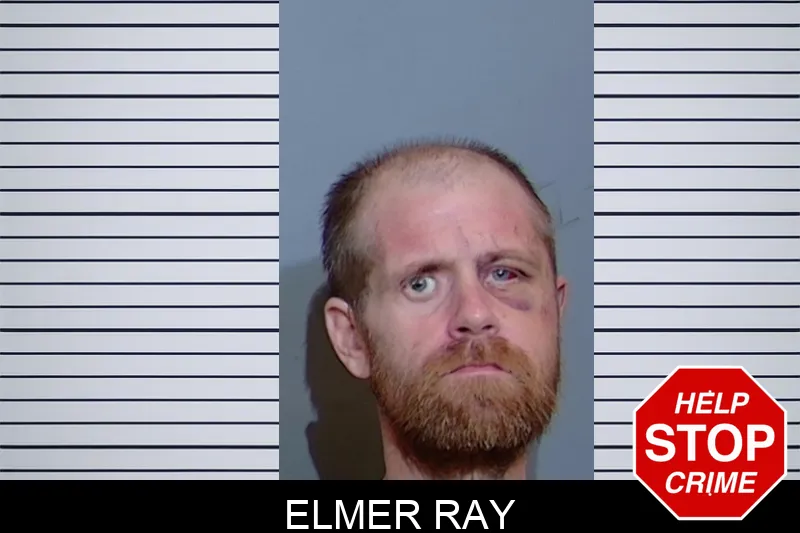 Elmer Ray mugshot – Glynn County , Georgia Elmer Ray mugshot