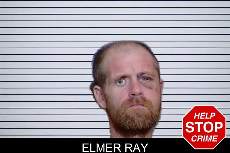 Elmer Ray mugshot – Glynn County , Georgia Elmer Ray mugshot