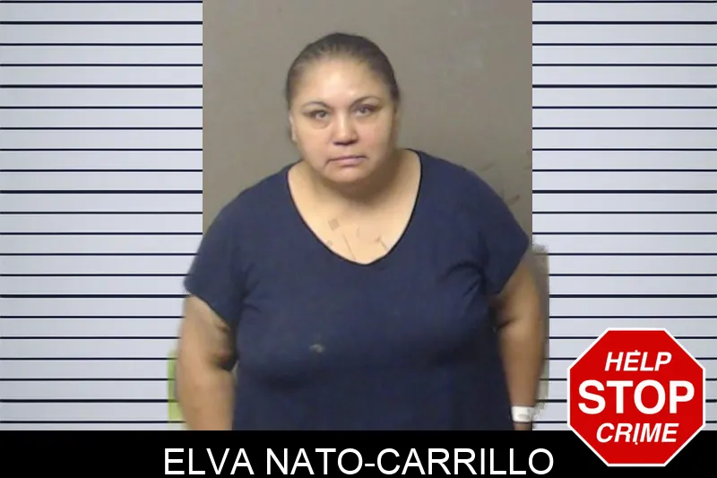 Elva Nato-Carrillo mugshot – DeKalb County , Georgia Elva Nato-Carrillo mugshot