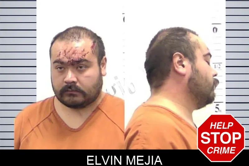 Elvin Mejia mugshot