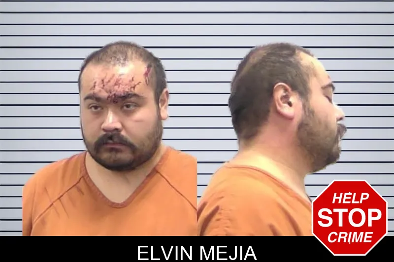 Elvin Mejia mugshot