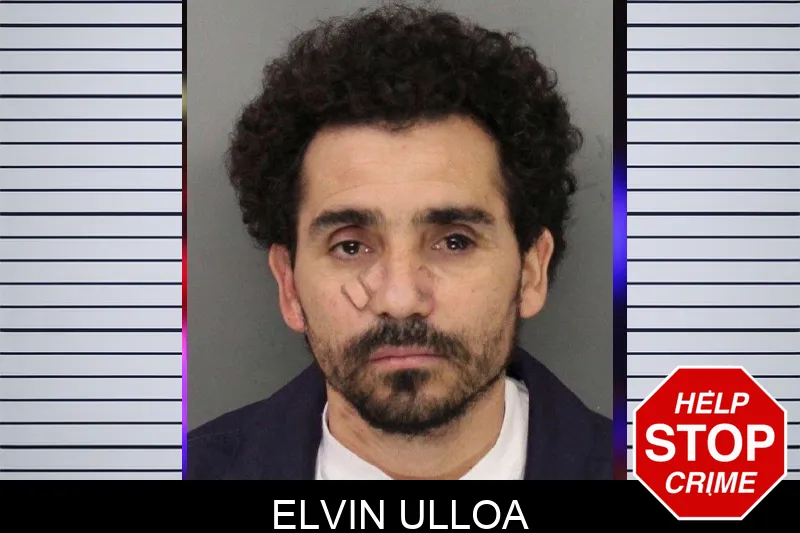Elvin Ulloa mugshot