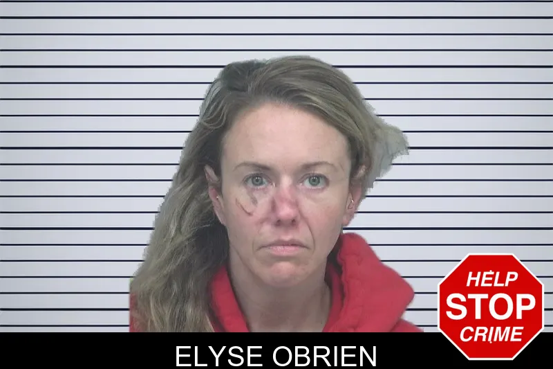 Elyse Obrien mugshot