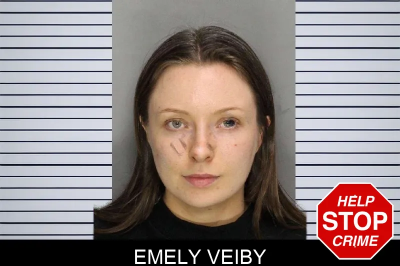 Emely Veiby mugshot