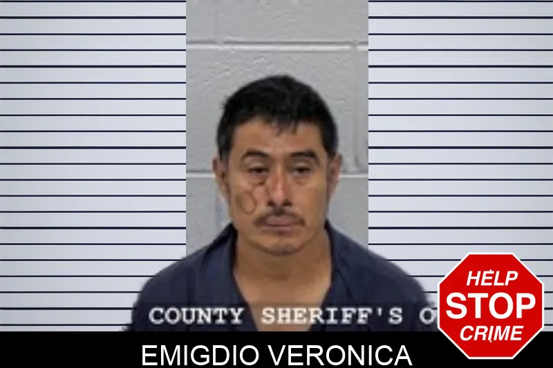 Emigdio Veronica mugshot – Walton County , Georgia Emigdio Veronica mugshot