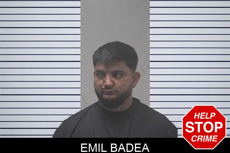 Emil Badea mugshot