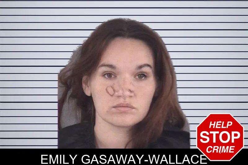 Emily Gasaway-Wallace mugshot