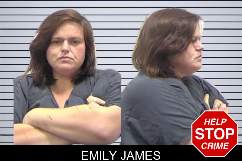 Emily James mugshot
