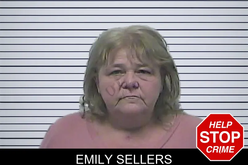Emily Sellers mugshot