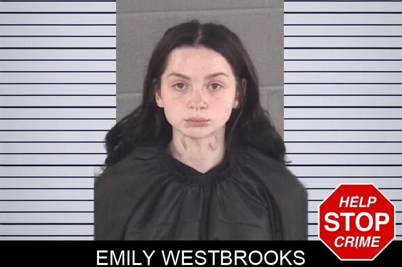 Emily Westbrooks mugshot
