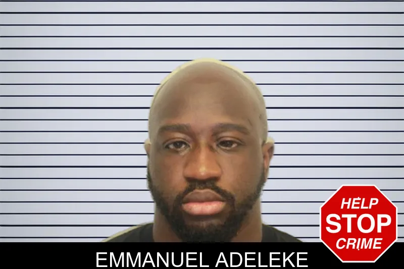 Emmanuel Adeleke mugshot