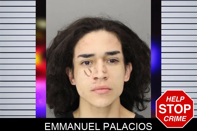 Emmanuel Palacios mugshot
