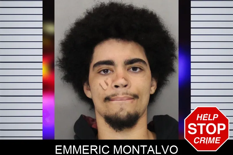 Emmeric Montalvo mugshot – Cobb County , Georgia Emmeric Montalvo mugshot