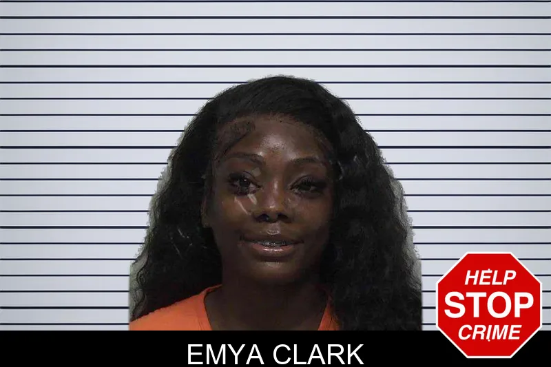 Emya Clark mugshot – Laurens County , Georgia Emya Clark mugshot