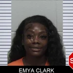 Emya Clark mugshot – Laurens County , Georgia Emya Clark mugshot