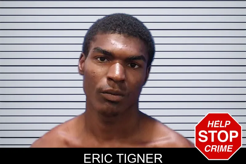 Eric Tigner mugshot