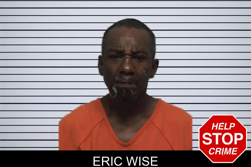 Eric Wise mugshot – Laurens County , Georgia Eric Wise mugshot