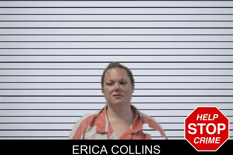Erica Collins mugshot
