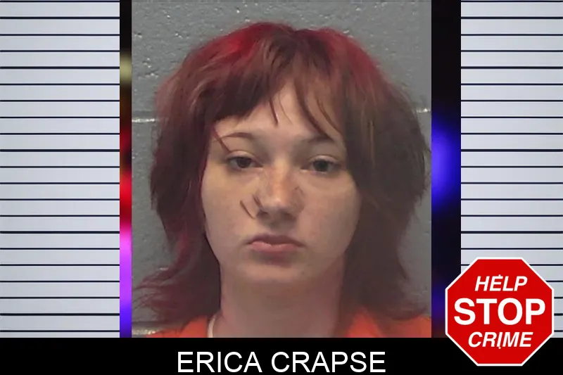 Erica Crapse mugshot