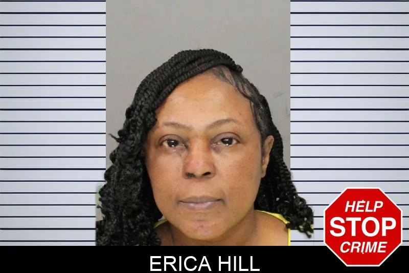 Erica Hill mugshot