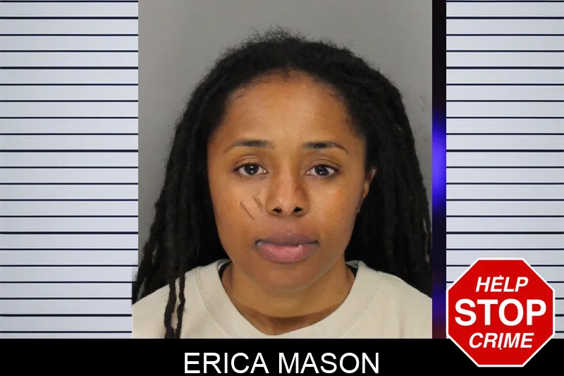 Erica Mason mugshot