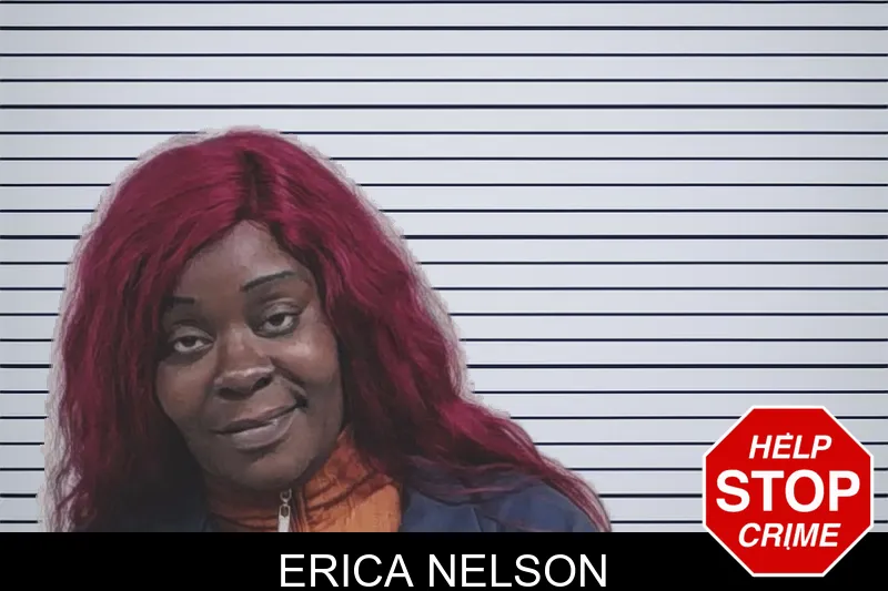Erica Nelson mugshot