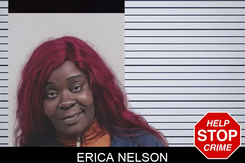 Erica Nelson mugshot