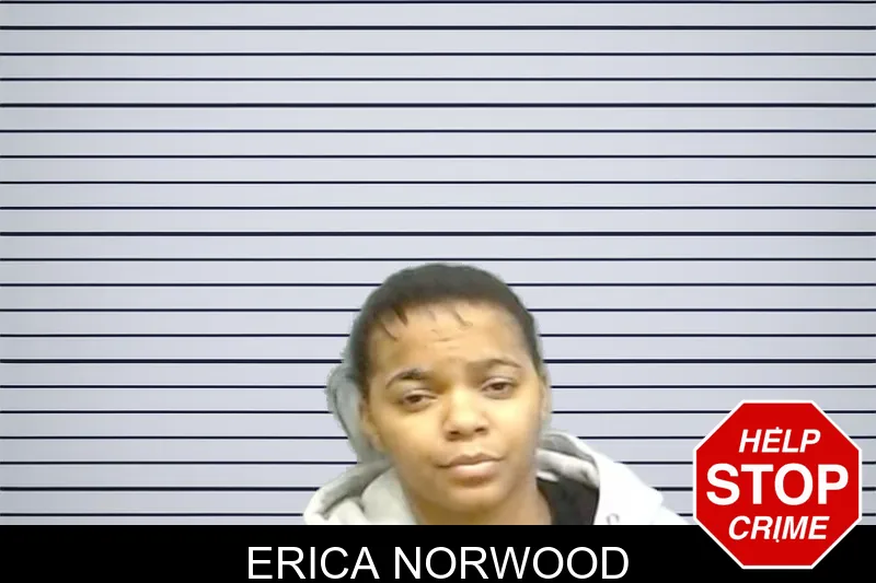 Erica Norwood mugshot – Fulton County , Georgia Erica Norwood mugshot