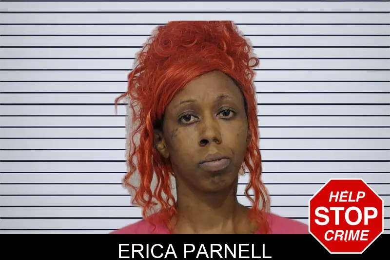 Erica Parnell mugshot