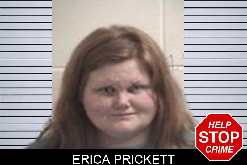 Erica Prickett mugshot
