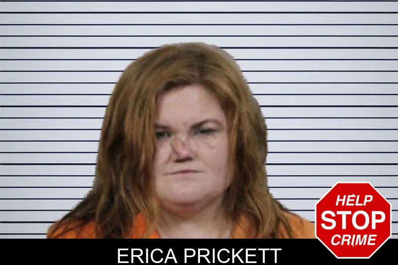 Erica Prickett mugshot