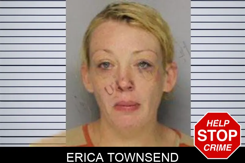 Erica Townsend mugshot