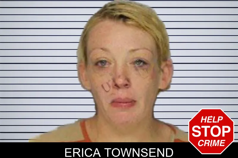 Erica Townsend mugshot – Hall County , Georgia Erica Townsend mugshot
