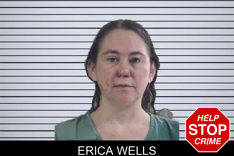 Erica Wells mugshot