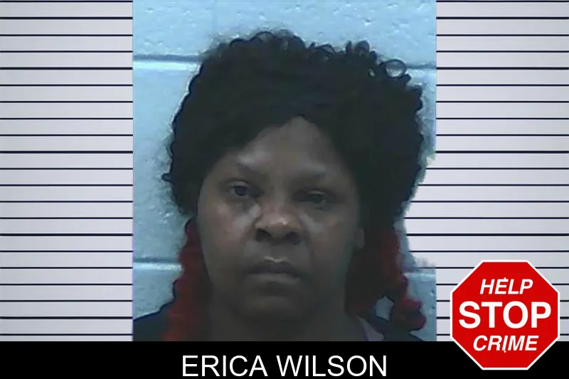 Erica Wilson mugshot