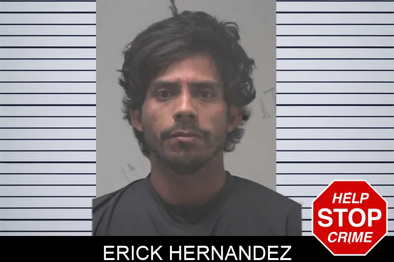 Erick Hernandez mugshot