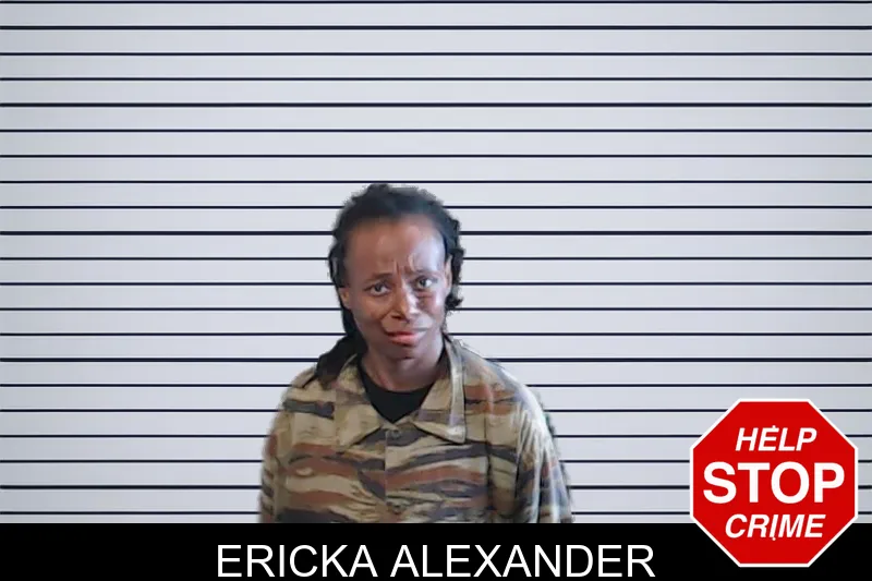 Ericka Alexander mugshot