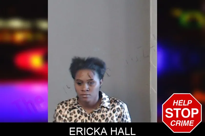 Ericka Hall mugshot