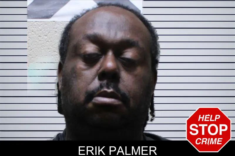 Erik Palmer mugshot
