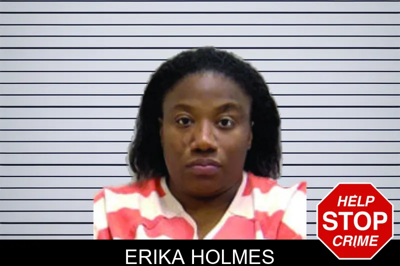 Erika Holmes mugshot
